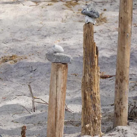 Haffblick Im Reetdachhaus Am Haff *