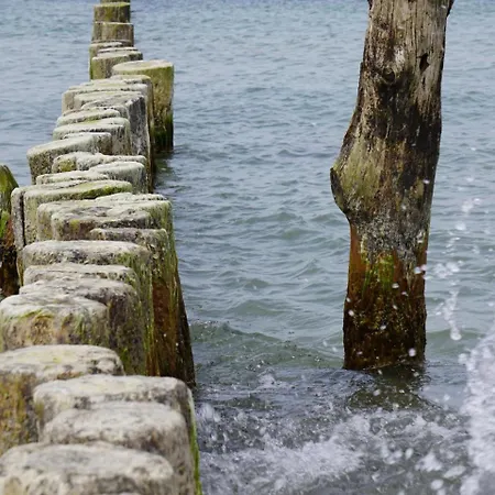 Haffblick Im Reetdachhaus Am Haff Pepelow