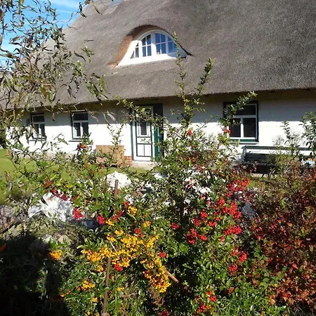 Haffblick Im Reetdachhaus Am Haff *