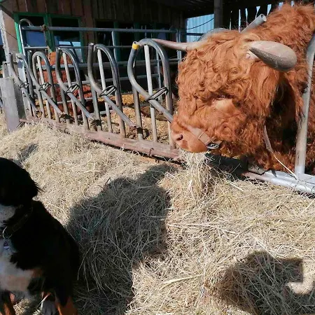Haffblick Im Reetdachhaus Am Haff דירה *