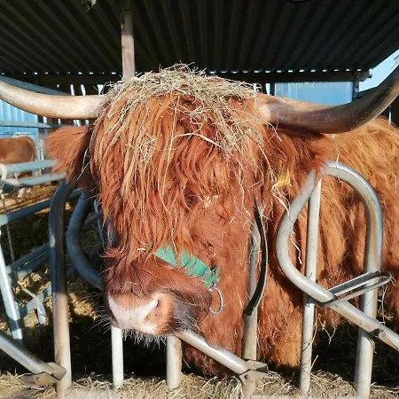 Haffblick Im Reetdachhaus Am Haff דירה *