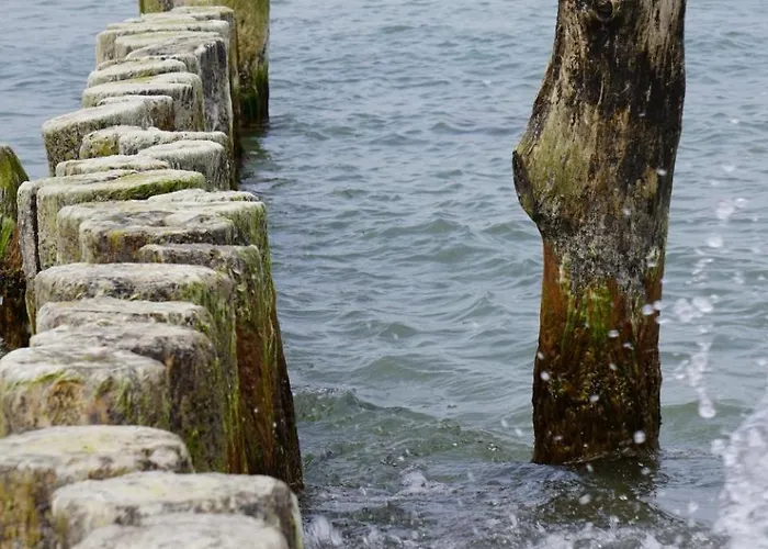 Haffblick Im Reetdachhaus Am Haff Pepelow