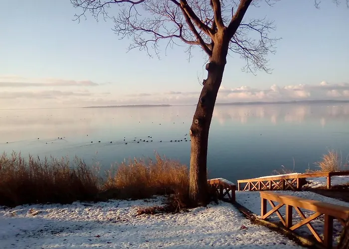 Haffblick Im Reetdachhaus Am Haff Lejlighed Pepelow