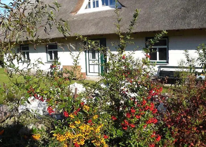 Haffblick Im Reetdachhaus Am Haff *