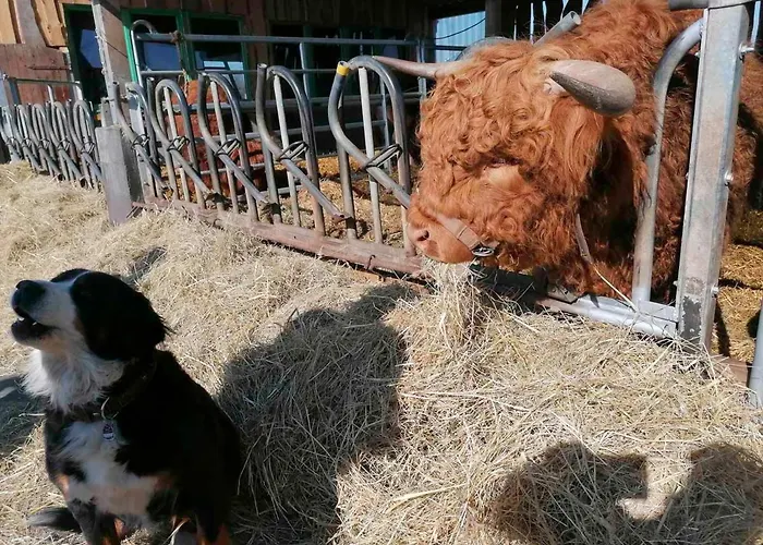 Haffblick Im Reetdachhaus Am Haff Апартаменты *