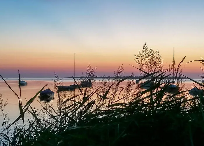 Haffblick Im Reetdachhaus Am Haff Lejlighed Pepelow