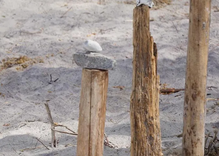 Haffblick Im Reetdachhaus Am Haff Lejlighed *